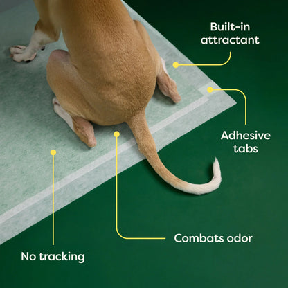 Disposable Dog Pee Pads with AbsorbShield+ Technology