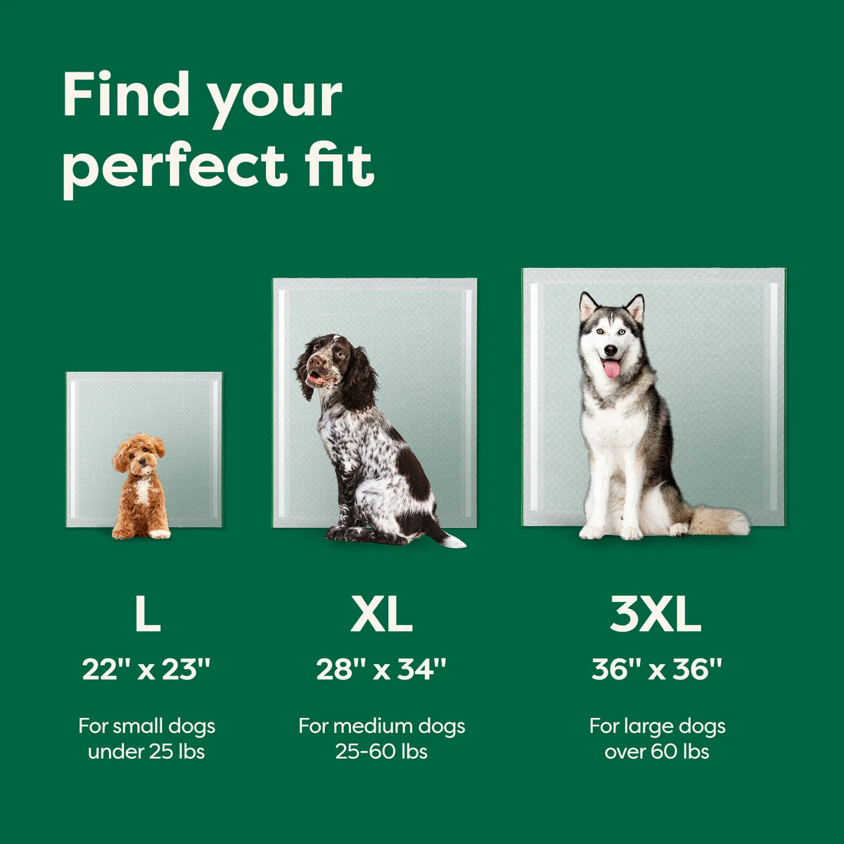 Disposable Dog Pee Pads with AbsorbShield+ Technology