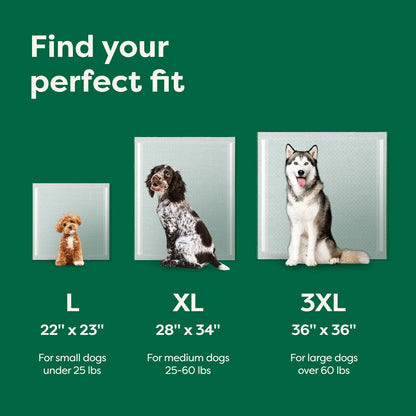 Disposable Dog Pee Pads with AbsorbShield+ Technology