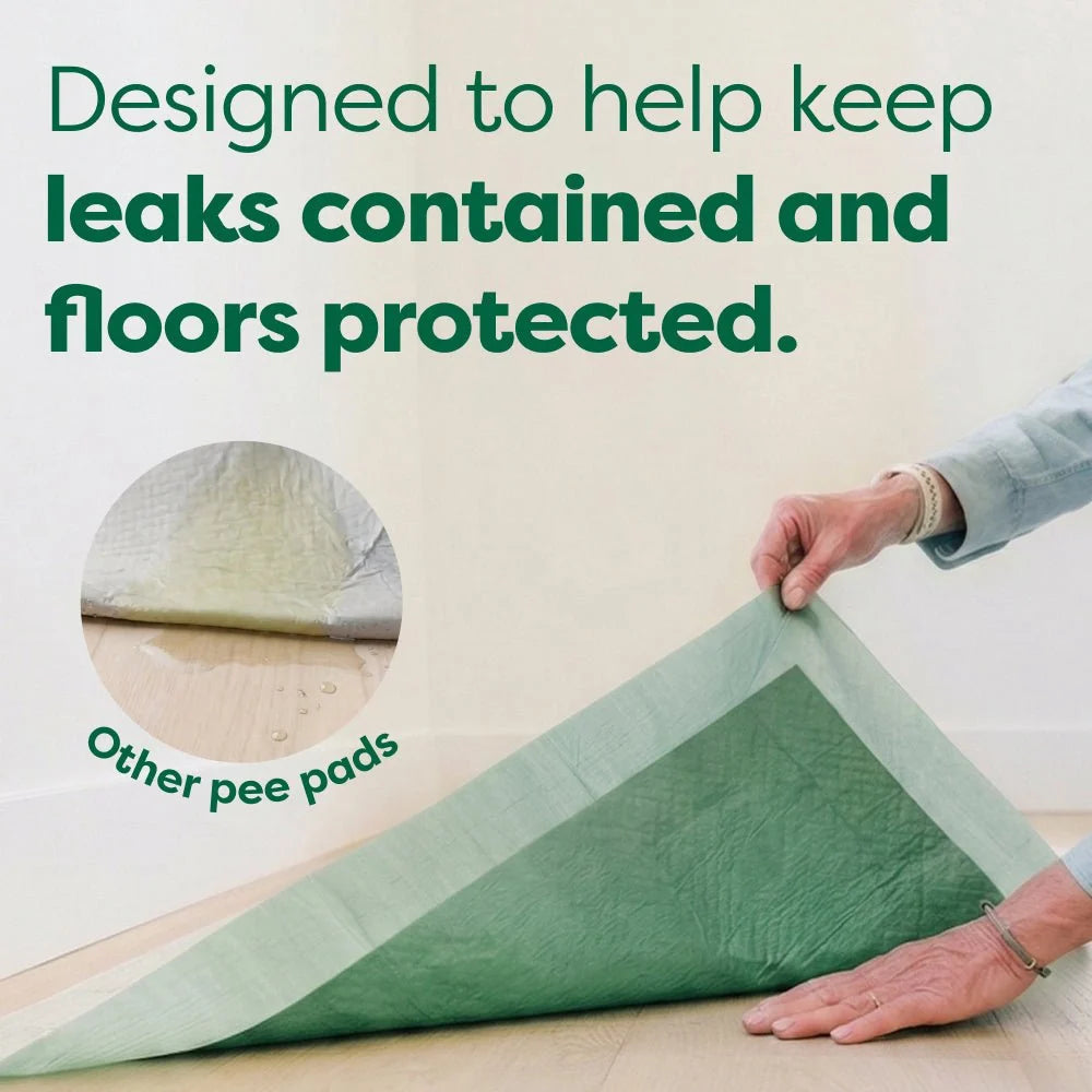 Disposable Dog Pee Pads with AbsorbShield+ Technology