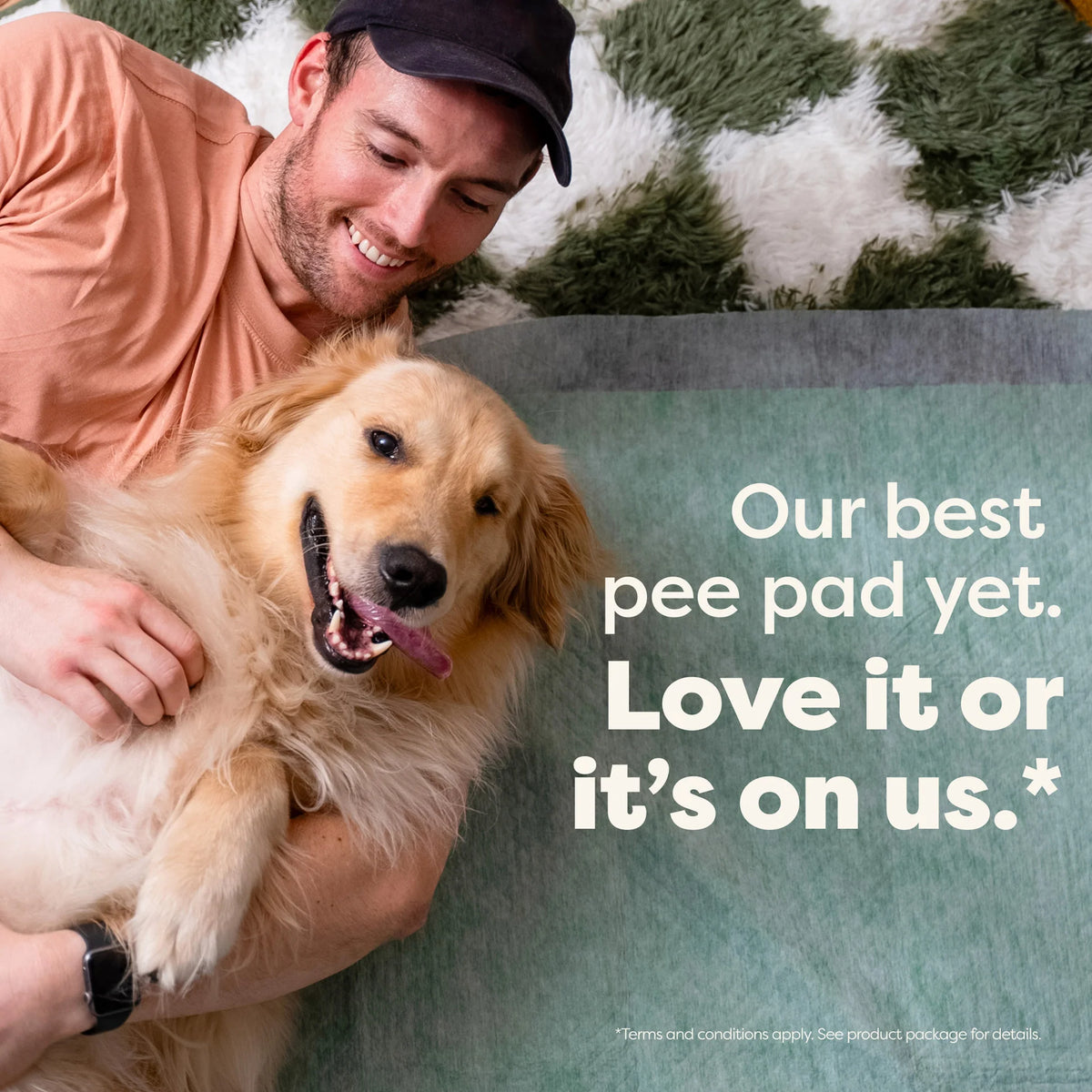 7 Count Trial Pack - Max Absorbency Pee Pads With AbsorbShield™+ Technology